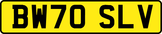 BW70SLV