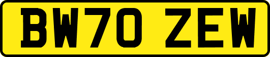 BW70ZEW