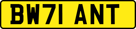 BW71ANT