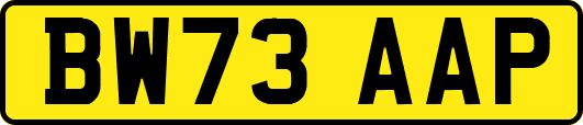 BW73AAP