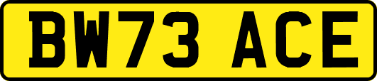 BW73ACE
