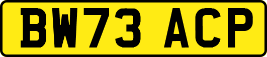 BW73ACP