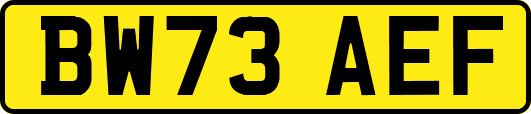 BW73AEF