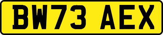 BW73AEX