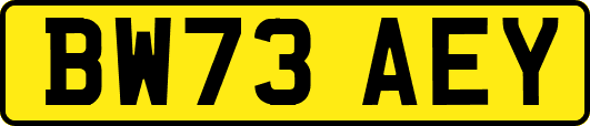 BW73AEY