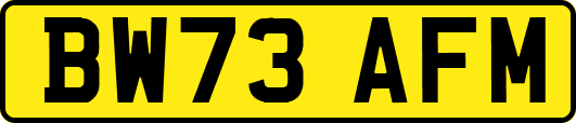 BW73AFM