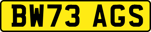 BW73AGS