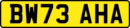 BW73AHA