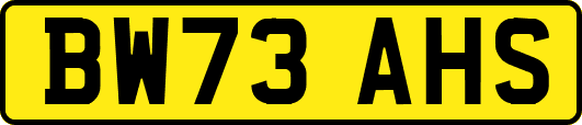 BW73AHS