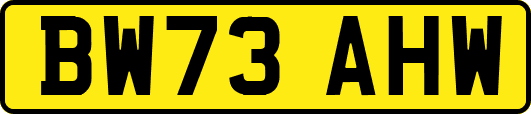 BW73AHW