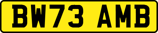 BW73AMB