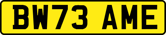 BW73AME