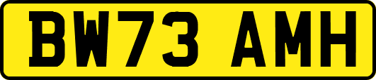 BW73AMH