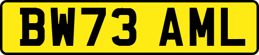 BW73AML