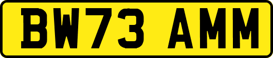 BW73AMM