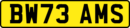 BW73AMS