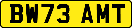 BW73AMT