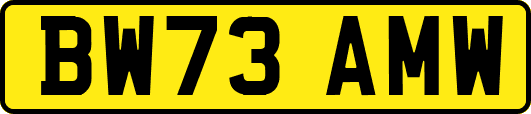 BW73AMW