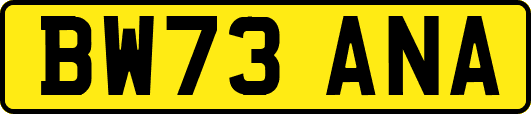 BW73ANA