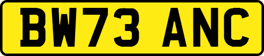 BW73ANC