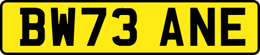 BW73ANE