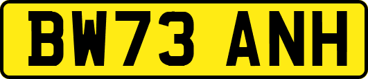 BW73ANH