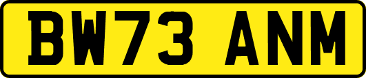 BW73ANM