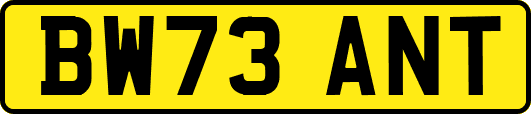 BW73ANT