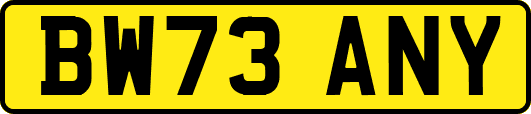BW73ANY