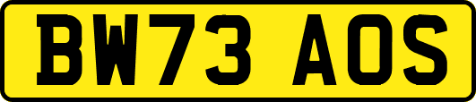 BW73AOS
