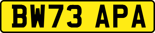 BW73APA