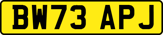 BW73APJ