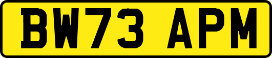 BW73APM