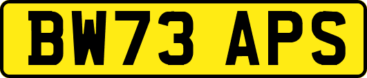 BW73APS