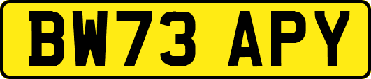 BW73APY