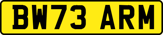 BW73ARM
