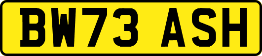 BW73ASH