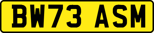 BW73ASM