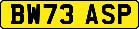 BW73ASP