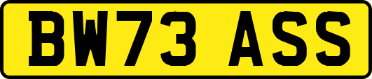 BW73ASS