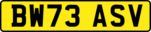 BW73ASV