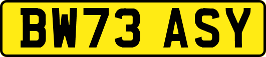 BW73ASY
