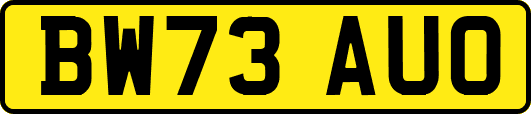 BW73AUO