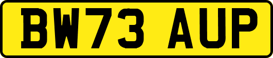 BW73AUP