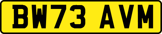 BW73AVM