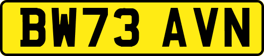 BW73AVN