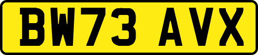 BW73AVX