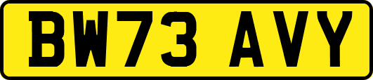 BW73AVY