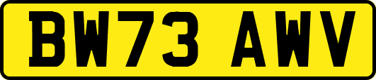 BW73AWV