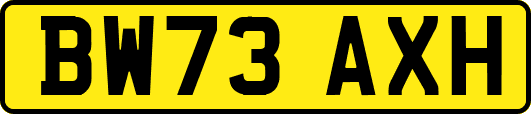 BW73AXH